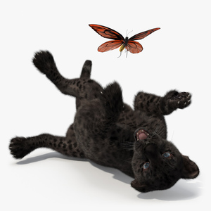 Playful Black Leopard Cub with Butterfly Fur 3D model