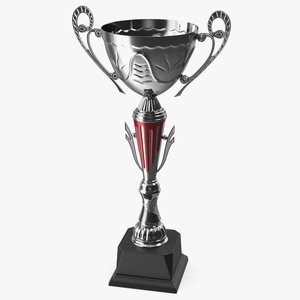 3D Metal Sports Cup