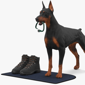 Walking Collar Doberman Pinscher 3D