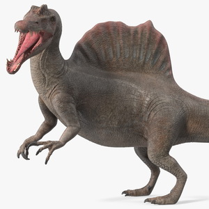 Spinosaurus Roaring Pose 3D model