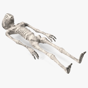 3D Alien Mummy