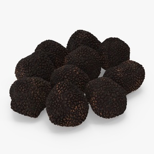 3D Black Truffle model