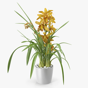 Yellow Orchid Pot 3D