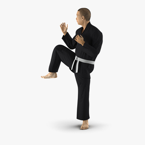 3D model Japanese Karate Fighter Black Suit Pose 3 with Fur