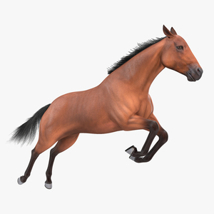 3D Jumping Bay Horse Fur