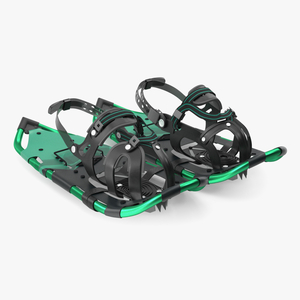 3D All Terrain Snow Shoes Green model