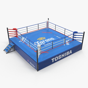 3D Boxing Ring