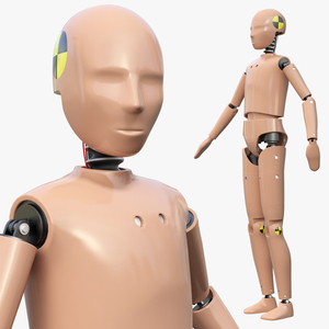 Teenager Crash Test Dummy Rigged 3D