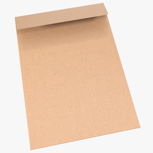 Pocket Envelope Craft Paper Rigged 3D model