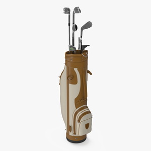 3D Golf Clubs Set with Bag model