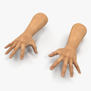 3D Man Hands 2 Pose 4 model