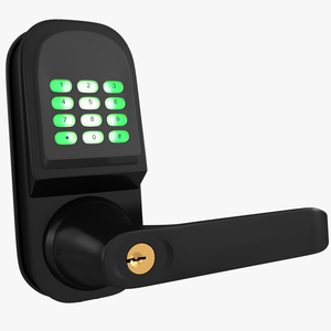 3D Smart Lock with Keypad Door Knob Black model