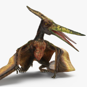 3D model Pteranodon Flying Carnivorous Reptile Standing Pose with Fur