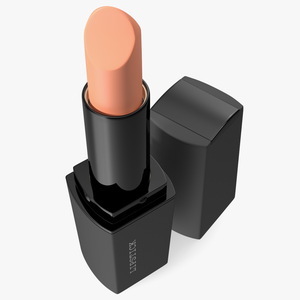 Brown Color Square Lipstick 3D