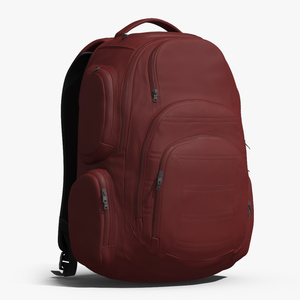 Travel Backpack with Multiple Pockets 3D