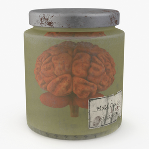 3D Human Brain in Old Glass Jar model