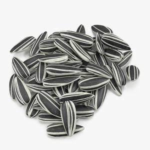 3D Striped Sunflower Seeds Pile model