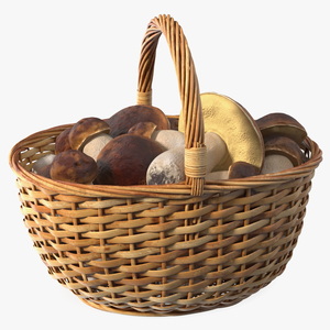 3D Straw Basket Of Porcini Mushrooms model