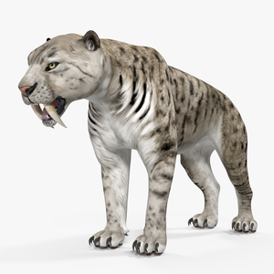 Arctic Saber Tooth Cat 3D