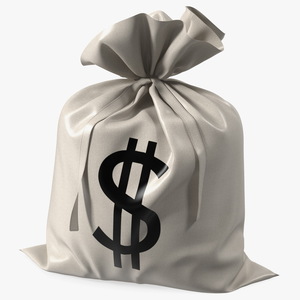 3D Money Bag with Dollar Sign