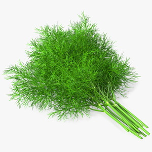 3D model Dill Bunch