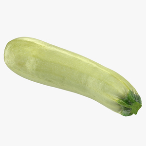 Summer Squash Gray Zucchini 3D