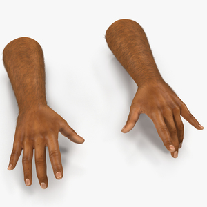 3D model African Man Hands 2 with Fur Pose 3