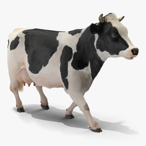 Animated Cow Walking Rigged 3D