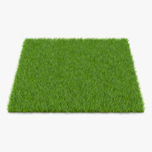 Fescue Grass 3D