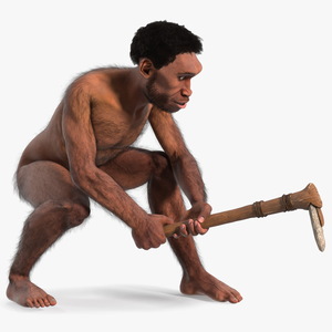 3D model Homo Erectus with a Prehistoric Stone Hoe Fur