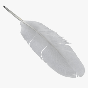 White Goose Feather 3D model