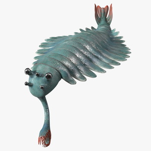 3D Green Opabinia Swimming model