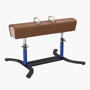 3D model Classic Pommel Horse