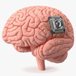 Human Brain With Implanted Microchip for 3D Print 3D model