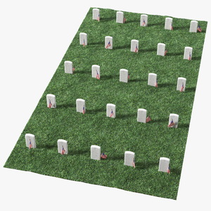 Graveyard World War Heroes 5x5 Fur 3D model