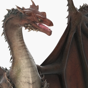 3D model Fantasy Dragon Creature Rigged