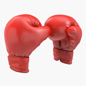 Boxing Gloves Fighting Pose 3D