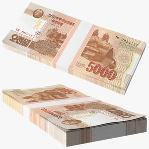 3D model North Korea 5000 Won Banknotes 2013 Pack