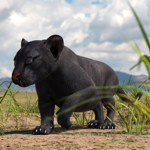 Black Panther Cub Rigged 3D model