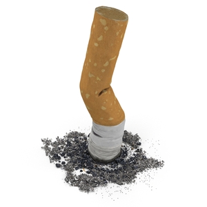 Snuffed Cigarette 3D