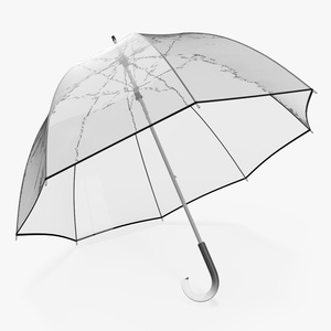 3D Clear Bubble Umbrella