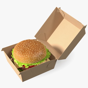 3D Burger Box Brown with Hamburger