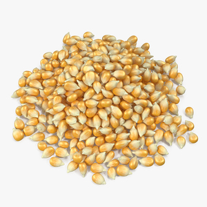 3D model Corn Seeds Pile