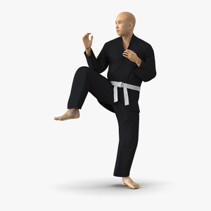 3D Japanese Karate Fighter Black Suit Pose 3