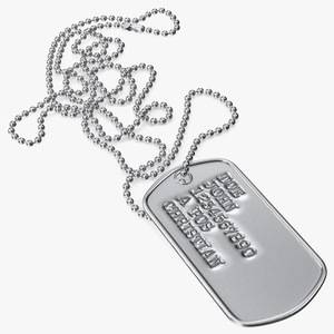 3D Classic Military Dog Tag Necklace model