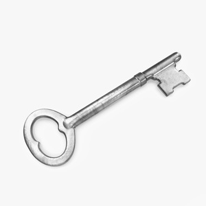 Vintage Skeleton Key Silver 3D