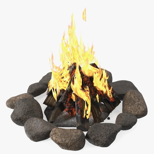 Bonfire in a Circle of Stones 3D model