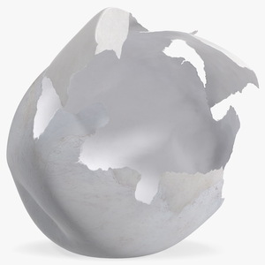 3D Cracked Turtle Egg model