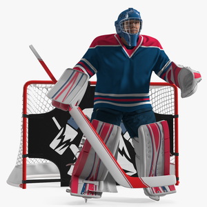 3D Hockey Goal Target and Goalkeeper model