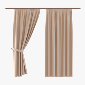 3D model Curtain 2 Brown